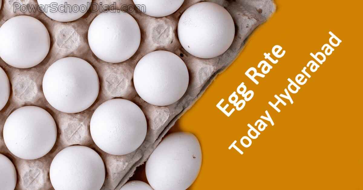 Egg Rate Today Hyderabad