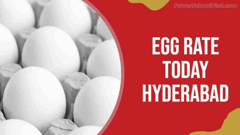 Egg Rate Today Hyderabad