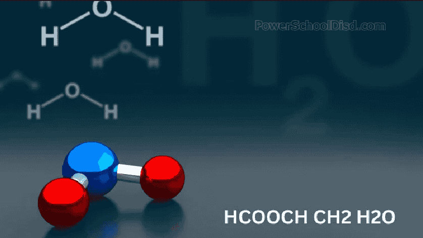 HCOOCH CH2 H2O